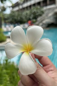 ChokCNX 三井花園飯店大阪普米爾優惠