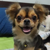 wanwan24