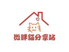 微胖貓日常分享