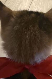 nanagyu 三交イン名古屋<新幹線口> クーポン