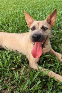 Taogeh 金馬侖高原度假村- 全球奢華精品酒店優惠