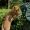 Sasatravel