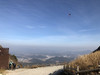 테오8879