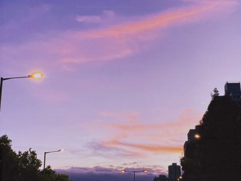 user-avatar