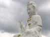 Kinkeung