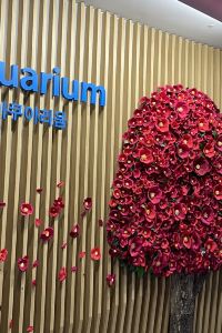 ゲスト ファミリーロッジ旅籠屋・つくば店 クーポン