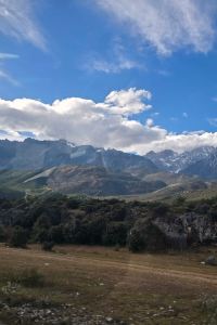 샤네로 上海虹橋漕河涇美居飯店優惠