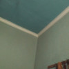 Doirobonho