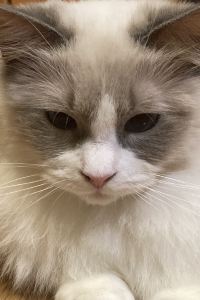 不要白活 美麗海露台公寓優惠