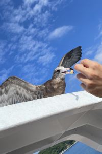 Lawrence_Chan 美山町自然文化村　河鹿荘 クーポン