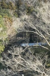 Mymama124 いそざき温泉　ホテルニュー白亜紀 クーポン