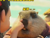 孤獨的旅行家
