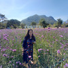 小鄉里到處走