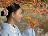 Cỏ Lau