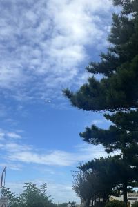 Keizhen 哈胡 II 飯店優惠