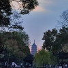 愛旅行的窮人