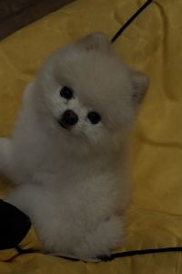 FYC10 CityNote希諾酒店（廣州太古滙石牌橋地鐵站店）優惠