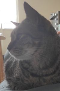 Yinchanchanchan IZA鎌倉ゲストハウス＆バー クーポン