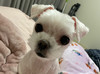한일환