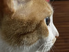 Cherie8819