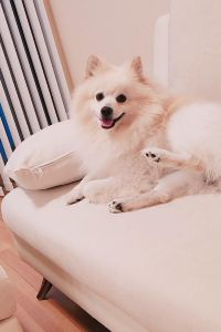 おゆい 城崎温泉　お宿　白山（はくさん） クーポン