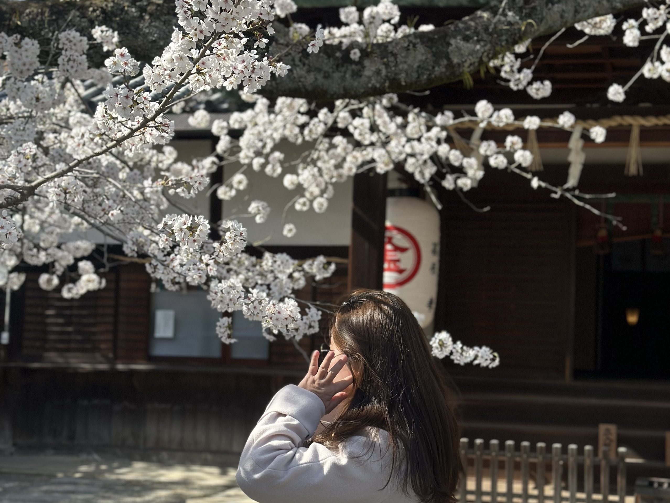 花路醬