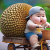 เที่ยวไปในนครศรี