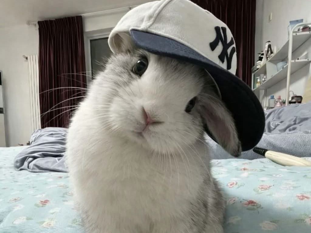ෆ ͛