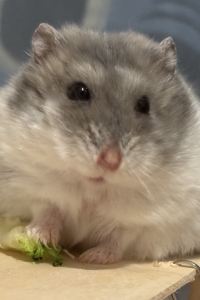 Part time traveler 柏林中央火車站諾富姆城市酒店B優惠