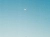 키킼