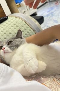 miumiu2007 有馬温泉 小都里 クーポン