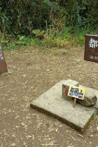 LeeWilson 臺中五都大飯店優惠