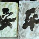 無所事事小海豹