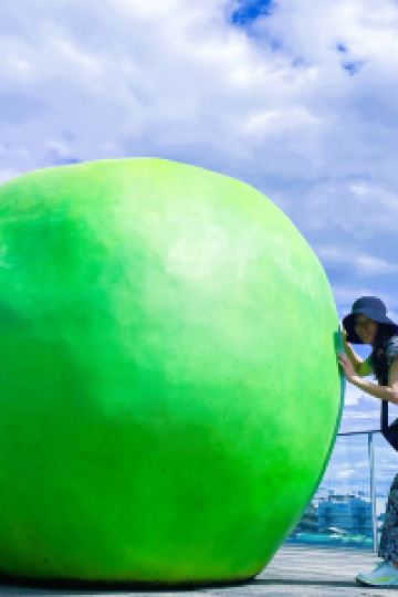 ゲスト sankara hotel&spa 屋久島 クーポン