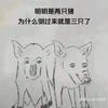 Fai_Wong