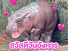 หมูจุ่มรีวิว
