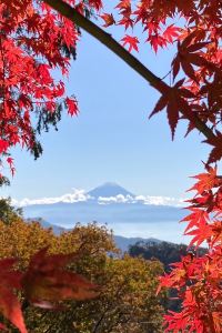 ゲスト 名古屋 JR ゲートタワーホテル クーポン