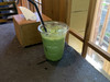 Matcha Girly