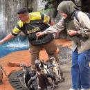 MN.Fahmi