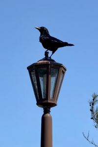 KAIED 元祖「うなぎ湯」の宿　ゆさや旅館 クーポン