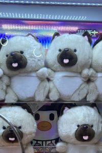 ALily 香港名樂居中環優惠