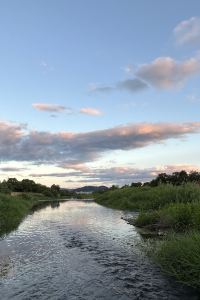 白いわらびもち 三井ガーデンホテル京橋 クーポン