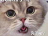 Trick