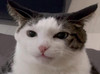 Aaaaa_f.99