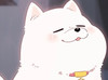 FluffyC