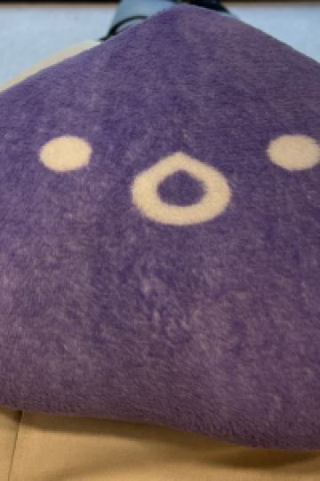 えみりんご 天然温泉 灯の湯 ドーミーイン PREMIUM 小樽 クーポン