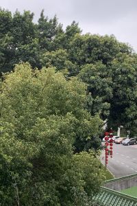 訪客用戶 日暮裡 阿爾蒙特飯店優惠