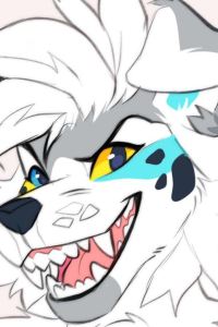 Collie Wife