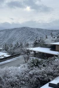 Noxid 琴平溫泉御宿敷島館優惠