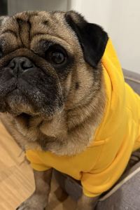 Rabbit1rat ザマナヴィレッジ クーポン